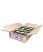 Консервы для котят Ем Без Проблем Мясное ассорти, 250г — изображение 3